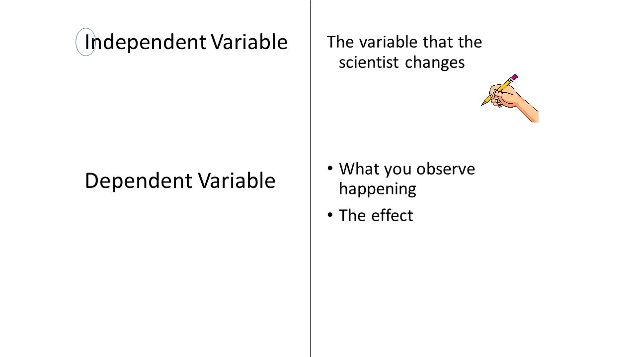 Independent Variable Dependent Variable The variable that the scientist changes What you observe happening The effect