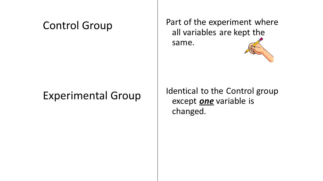 Control Group Experimental Group Part of the experiment where all variables are kept the same.