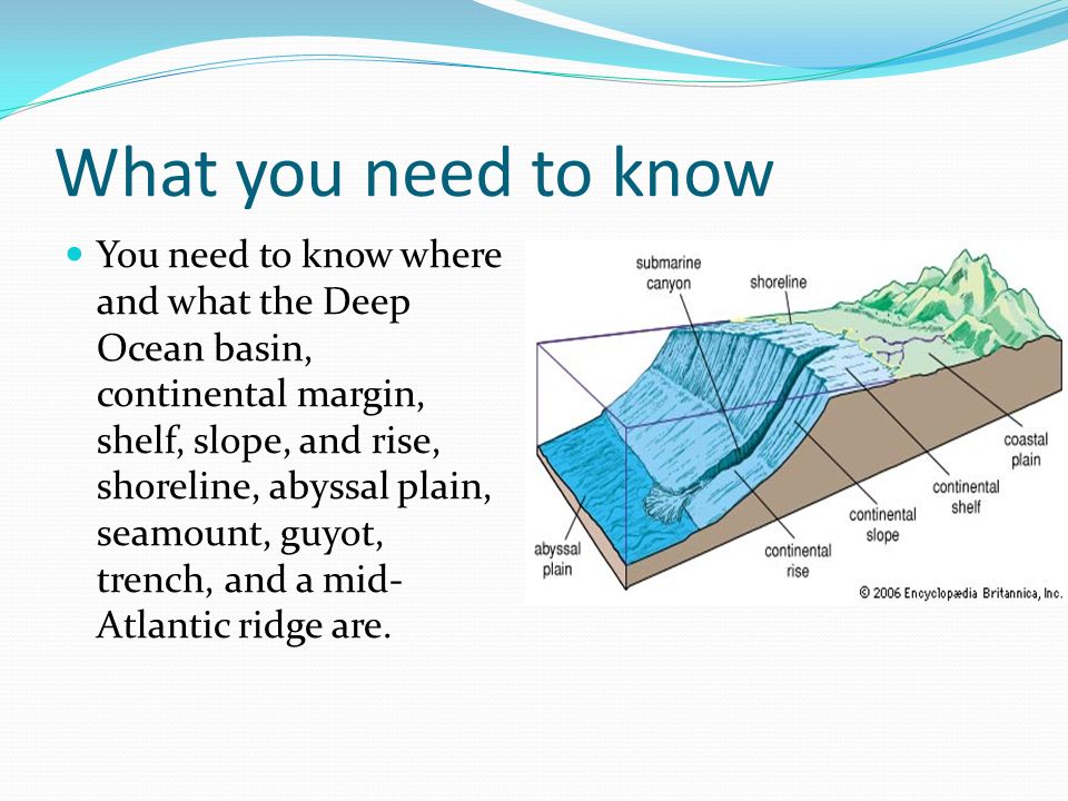 Ocean Floor Features What You Need To Know You Need To Know Where