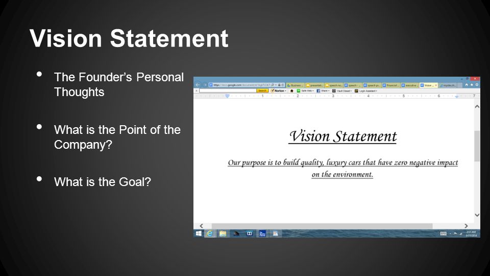 Vision Statement The Founder’s Personal Thoughts What is the Point of the Company.