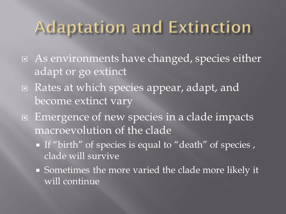 Section 19-2: Patterns and Processes of Evolution. - ppt download