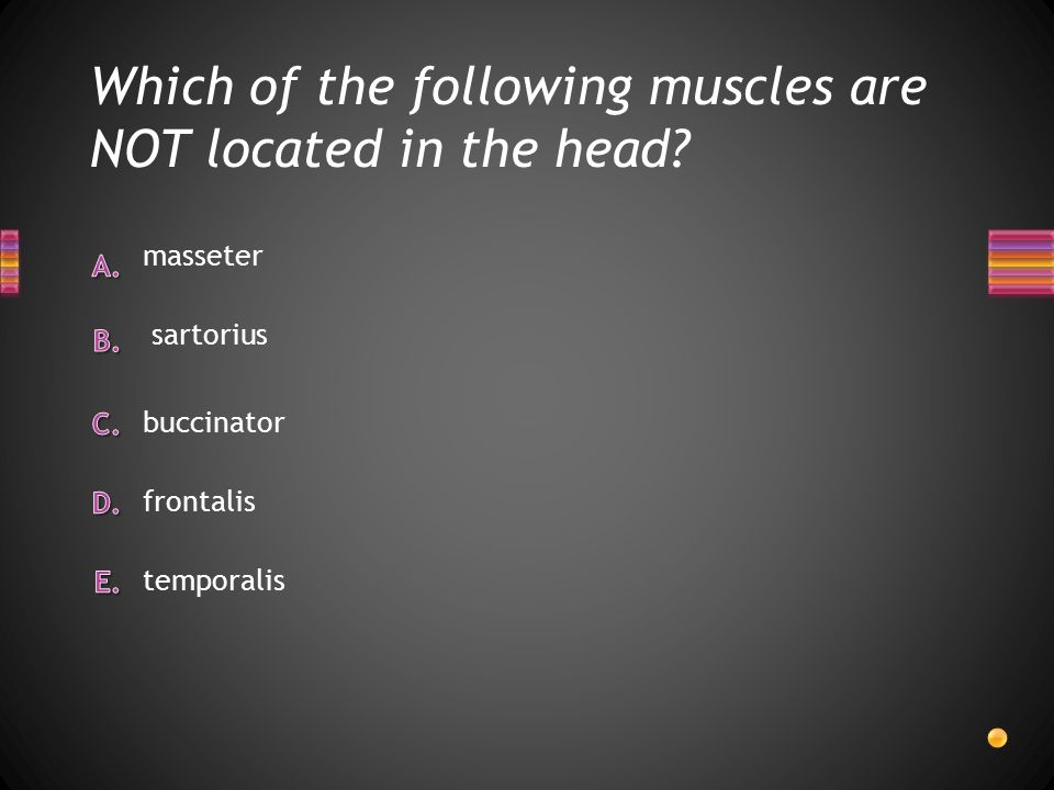 Which of the following muscles are NOT located in the head.