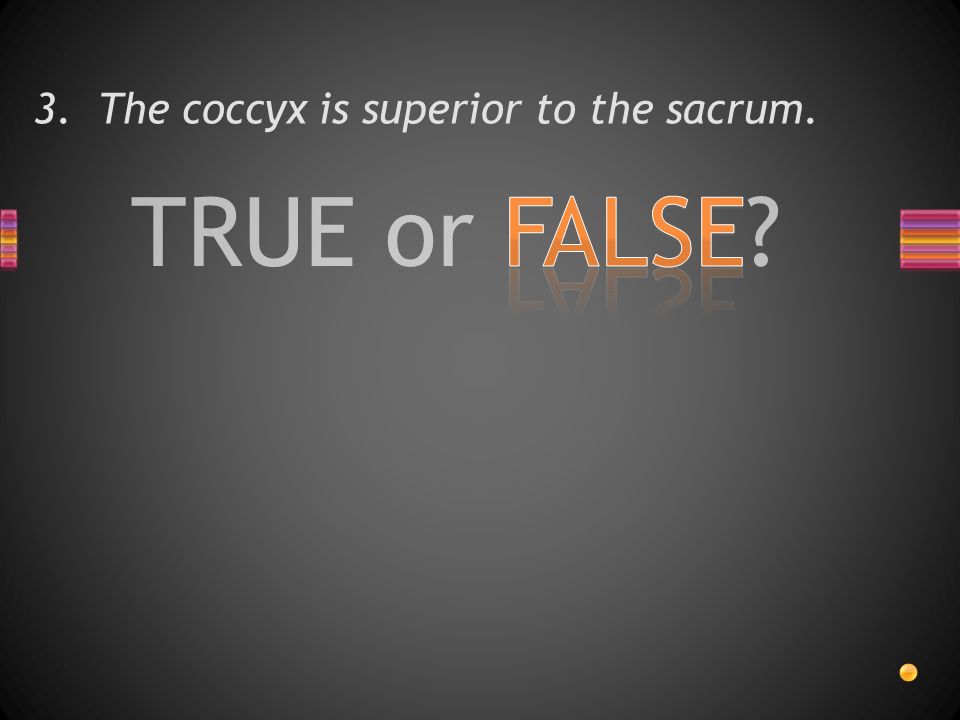 TRUE or FALSE 3. The coccyx is superior to the sacrum.