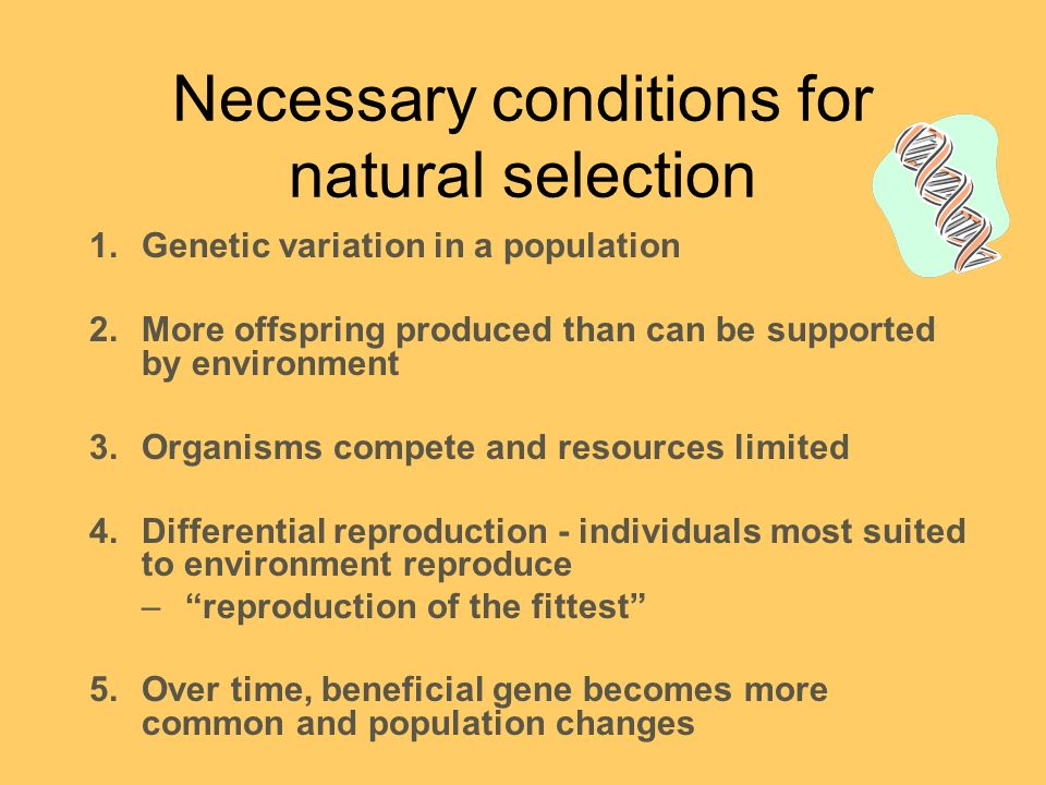 Natural selection your definition how would you describe the mechanism