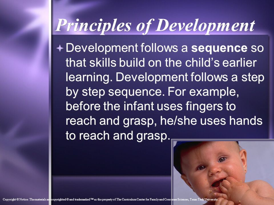 sequence of development
