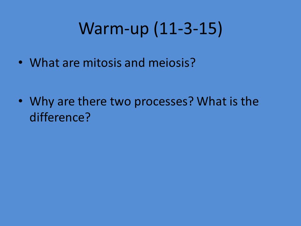 Mitosis And Meiosis Biology Ii Warm Up What Are Mitosis And