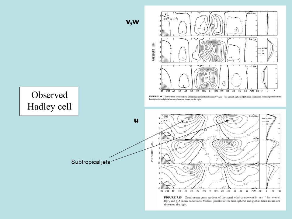 Observed Hadley cell u v,w Subtropical jets