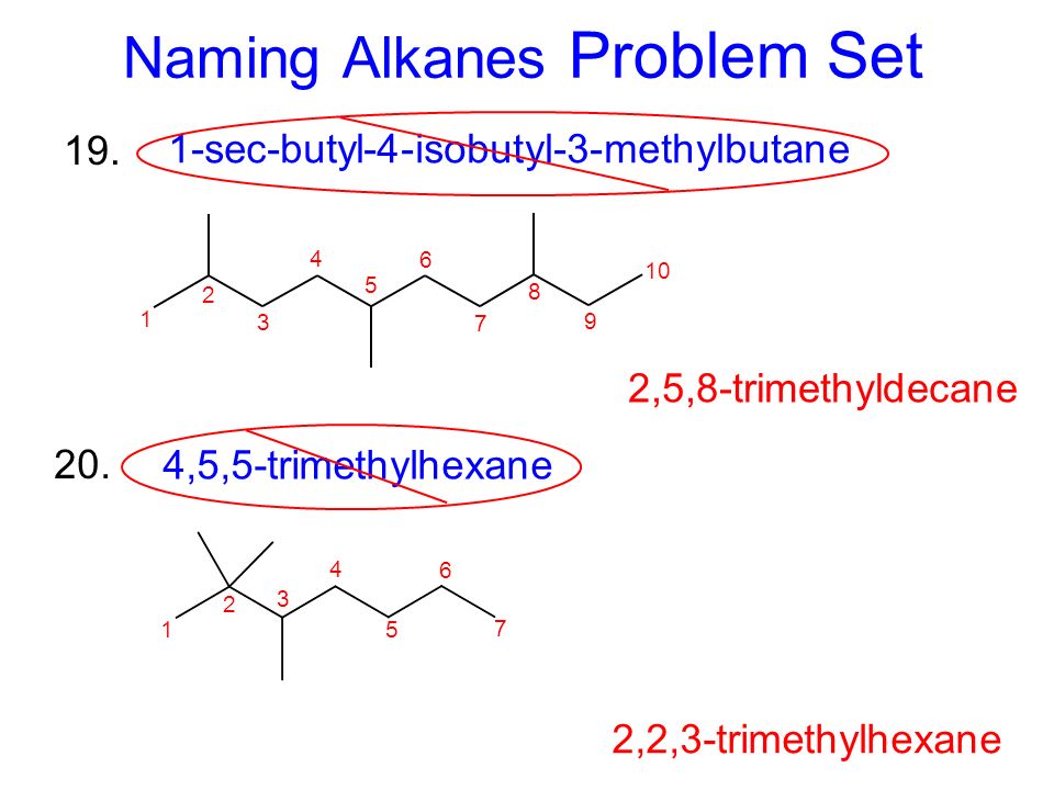 Naming Alkanes Problem Set 1 2 Methylbutane Methylbutane 2