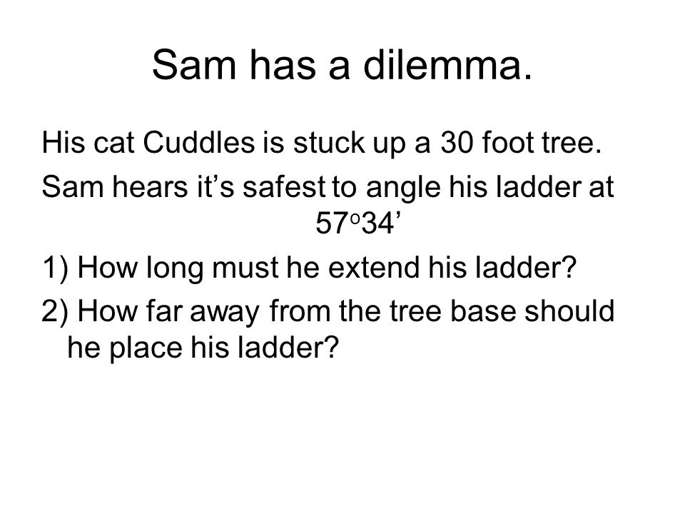 Sam has a dilemma. His cat Cuddles is stuck up a 30 foot tree.
