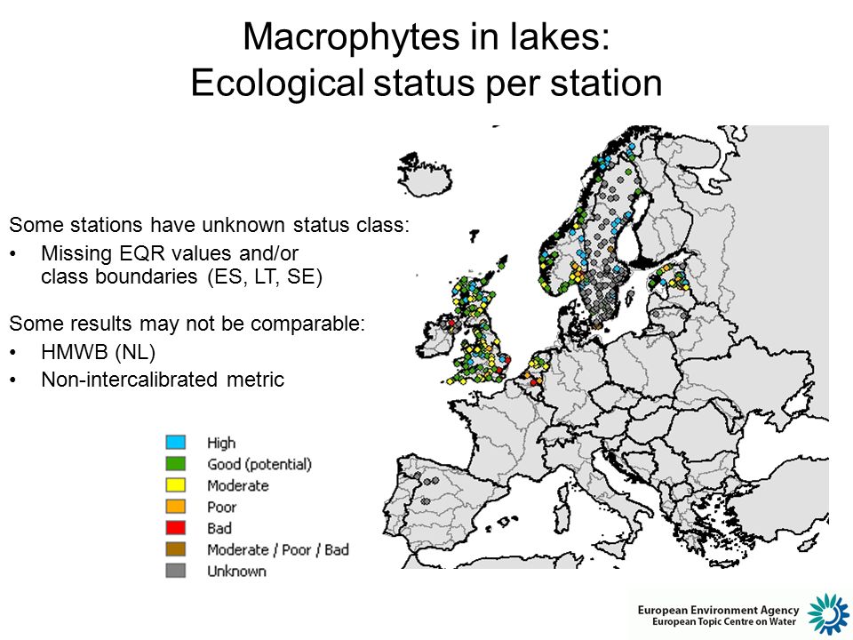 Macrophytes in lakes: Ecological status per station Some stations have unknown status class: Missing EQR values and/or class boundaries (ES, LT, SE) Some results may not be comparable: HMWB (NL) Non-intercalibrated metric