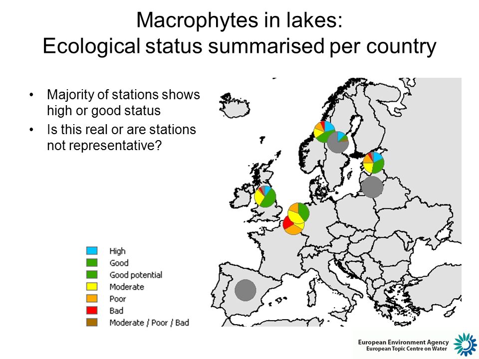 Macrophytes in lakes: Ecological status summarised per country Majority of stations shows high or good status Is this real or are stations not representative