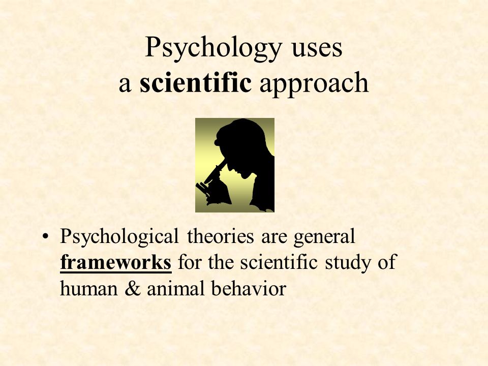 why do we study animals in psychology animal behavior examples
