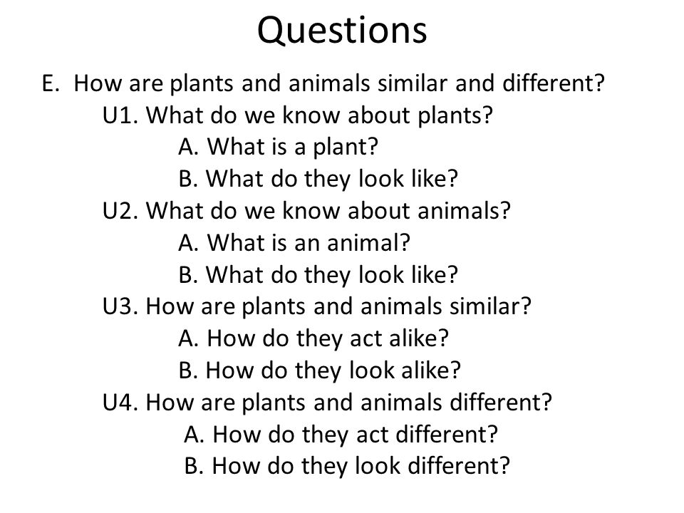 Plants and Animals. Questions E. How are plants and animals similar and  different? U1. What do we know about plants? A. What is a plant? B. What do  they. - ppt download