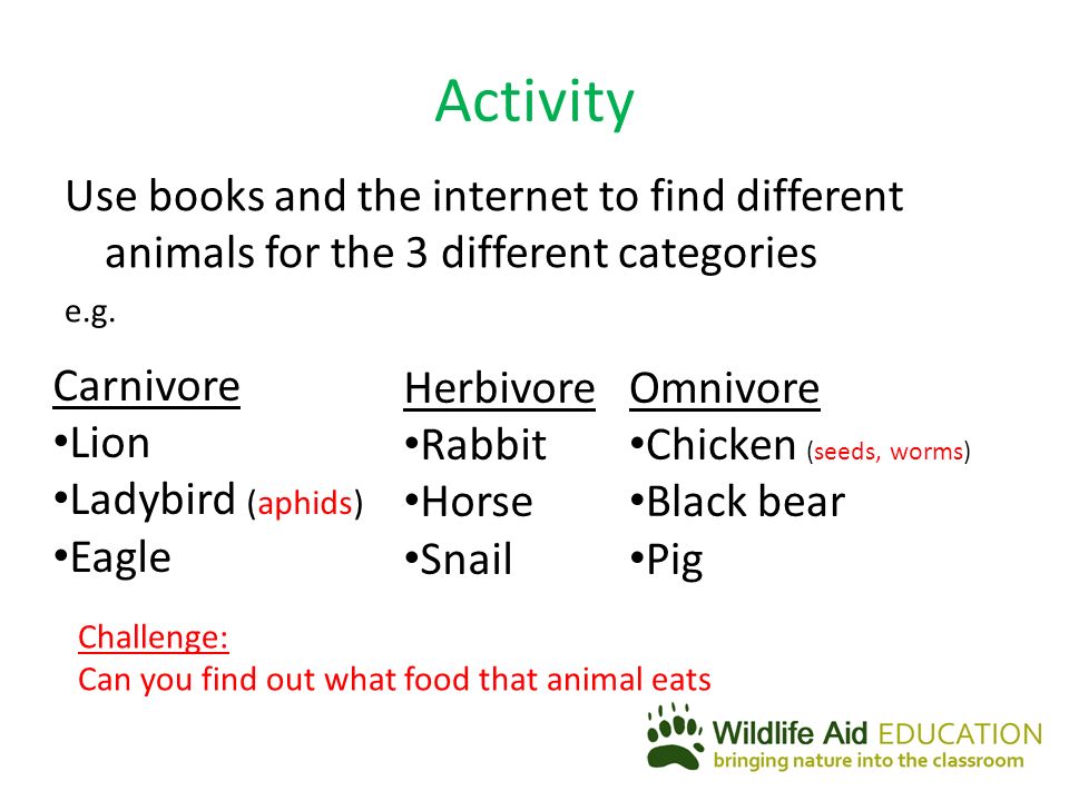 Animals including Humans Year 4 Lesson 2 LI: To be able to identify and  classify carnivores, herbivores and omnivores. - ppt download