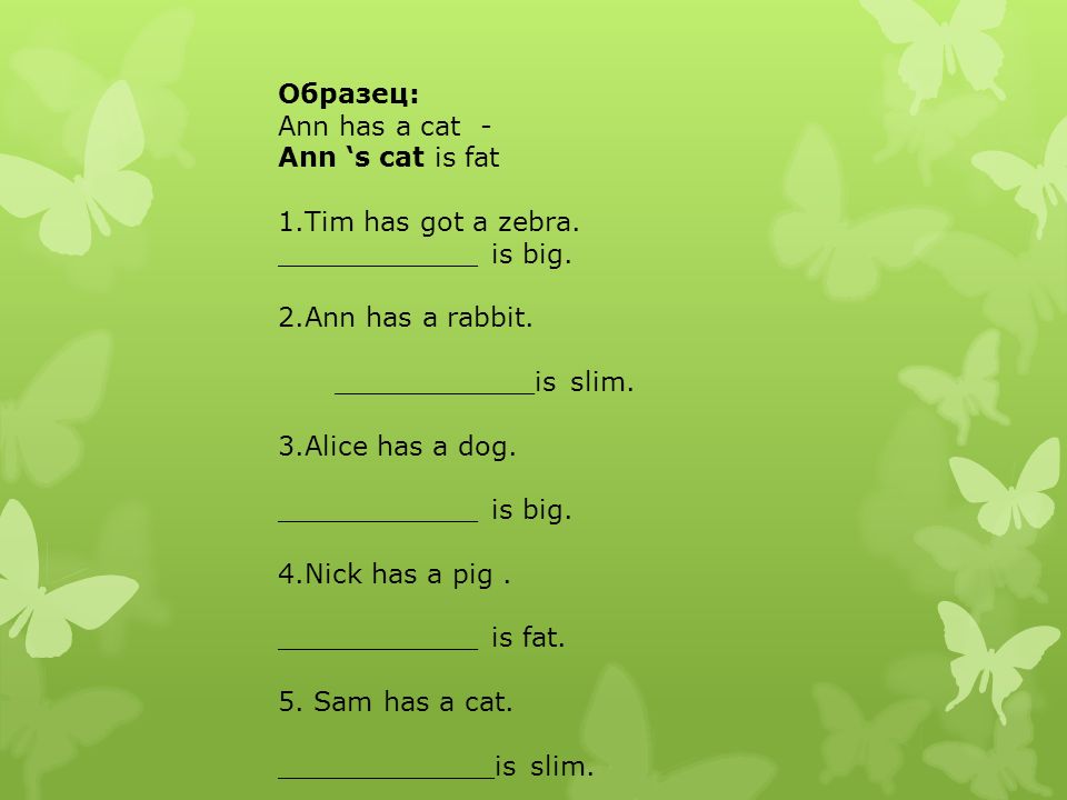Образец: Ann has a cat - Ann ‘s cat is fat 1.Tim has got a zebra.