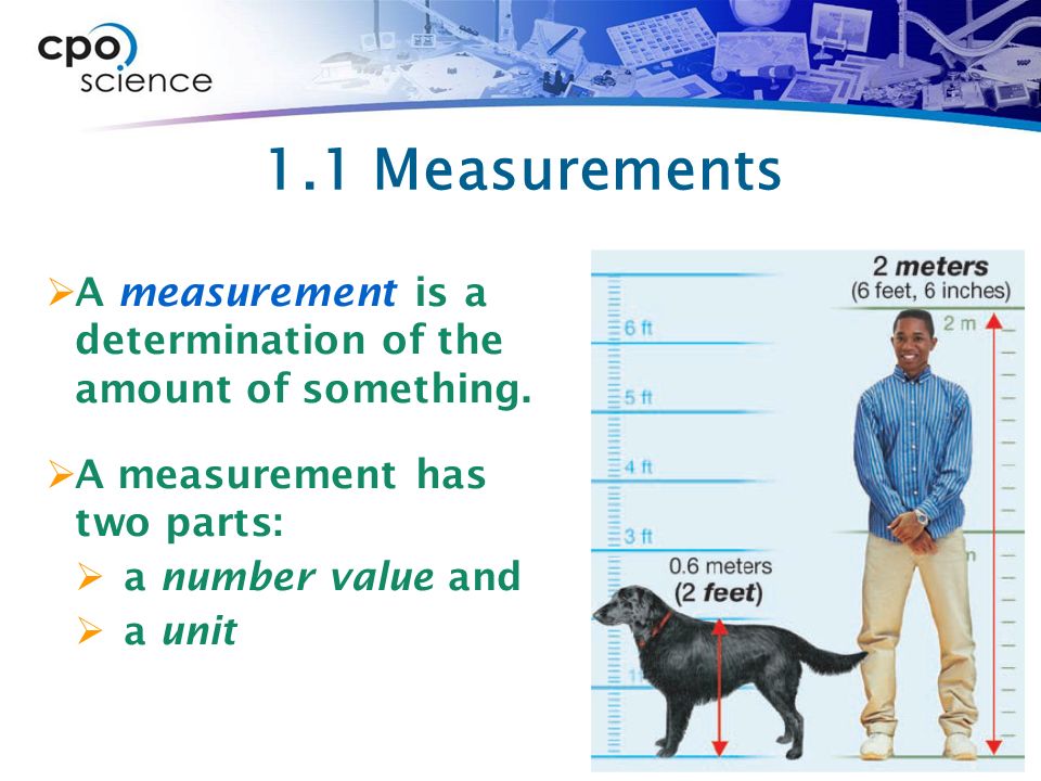 1.2 metres in feet and clearance inches