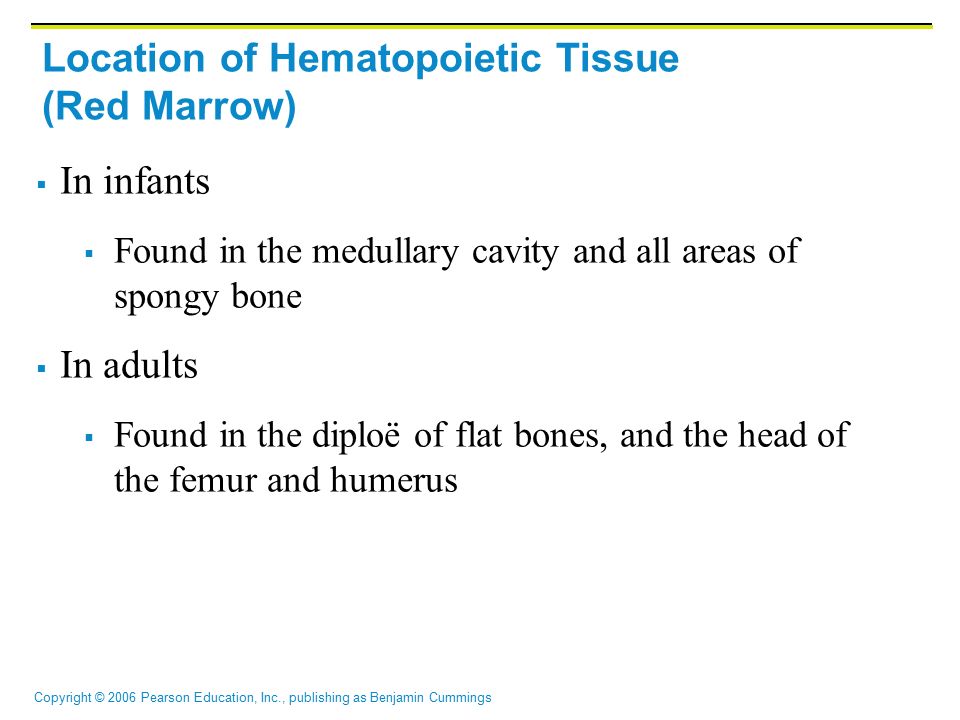 Copyright © 2006 Pearson Education, Inc., publishing as Benjamin Cummings Location of Hematopoietic Tissue (Red Marrow)  In infants  Found in the medullary cavity and all areas of spongy bone  In adults  Found in the diploë of flat bones, and the head of the femur and humerus