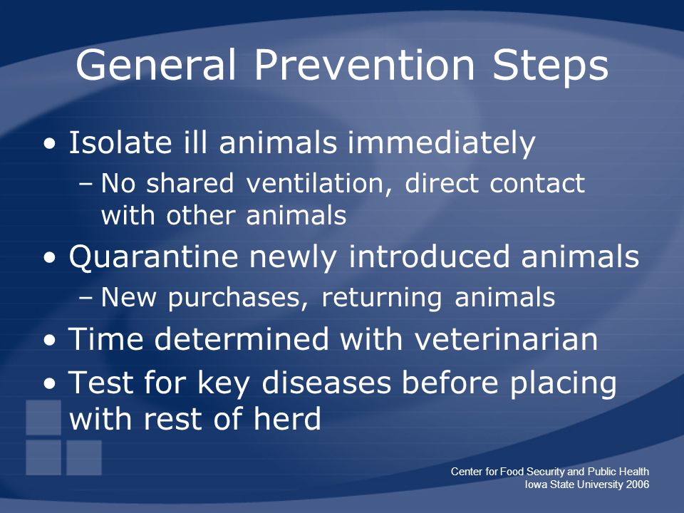 Center for Food Security and Public Health Iowa State University 2006 General Prevention Steps Isolate ill animals immediately –No shared ventilation, direct contact with other animals Quarantine newly introduced animals –New purchases, returning animals Time determined with veterinarian Test for key diseases before placing with rest of herd