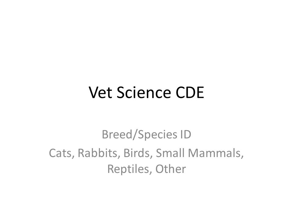 Vet Science CDE Breed/Species ID Cats, Rabbits, Birds, Small Mammals, Reptiles, Other