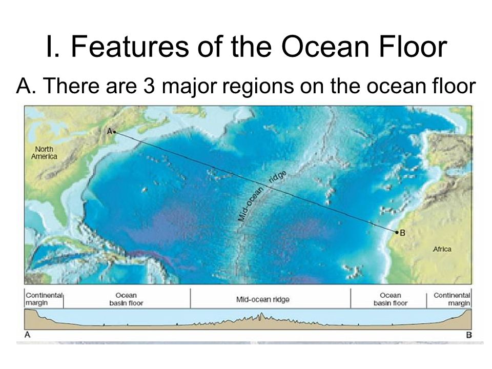 Ocean Notes I Features Of The Ocean Floor A There Are 3 Major