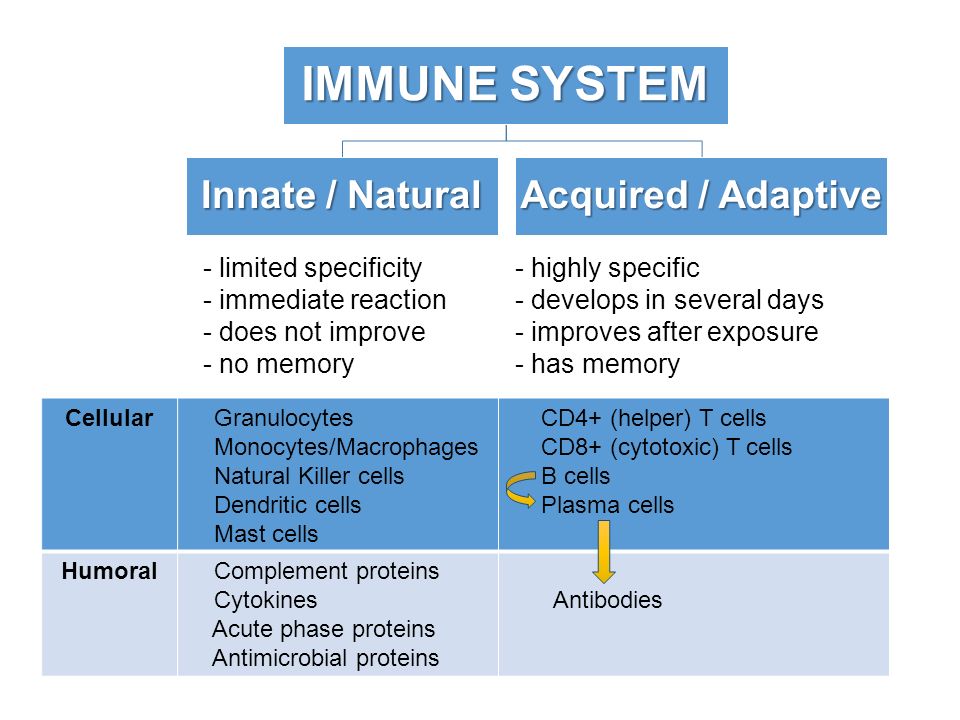 Collaboration Of Innate And Adaptive Immunity Antibody Structure And Function 8 Th Week Physiotherapy Bsc Ppt Download