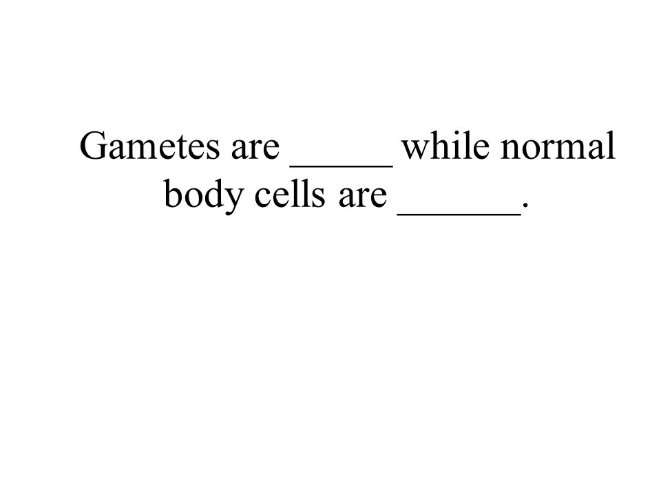 Gametes are _____ while normal body cells are ______.