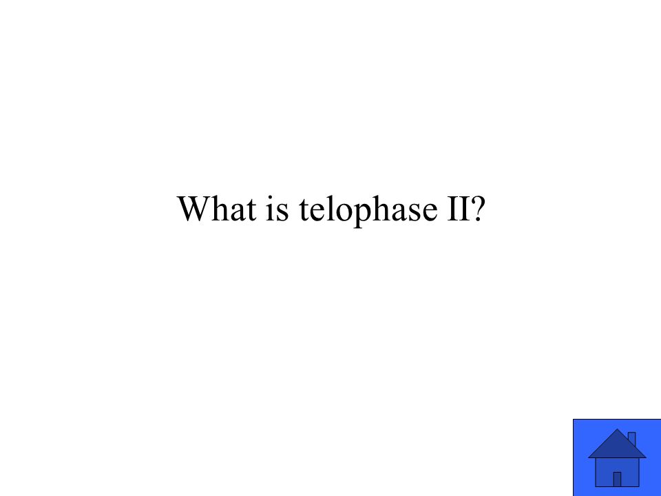 What is telophase II