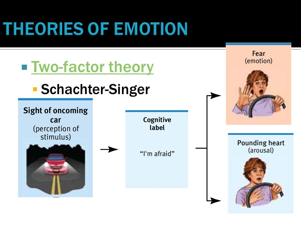 schachter singer two factor theory