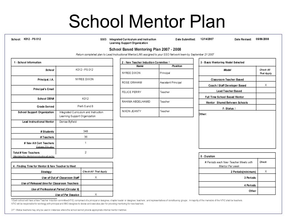School Mentor Plan