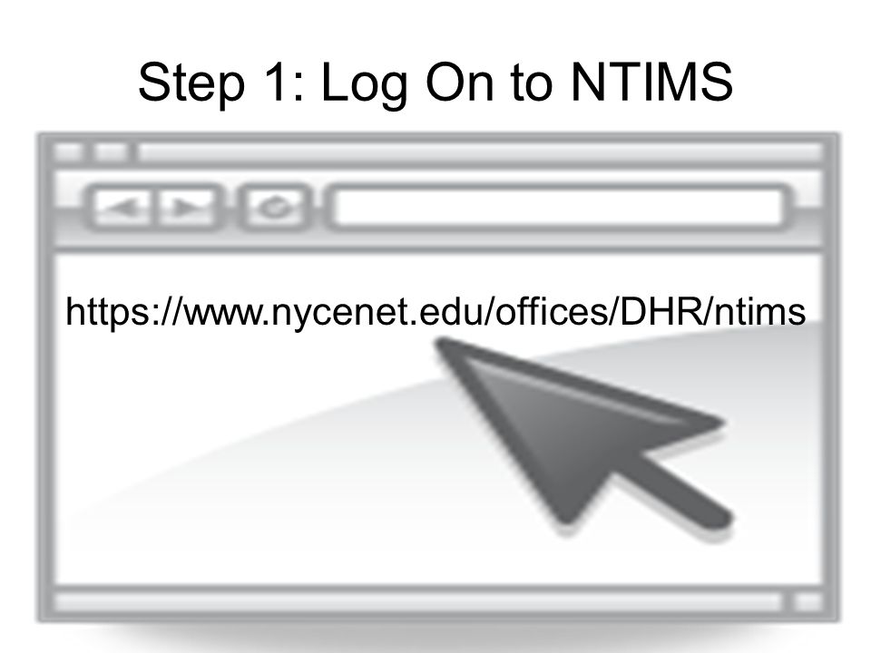Step 1: Log On to NTIMS
