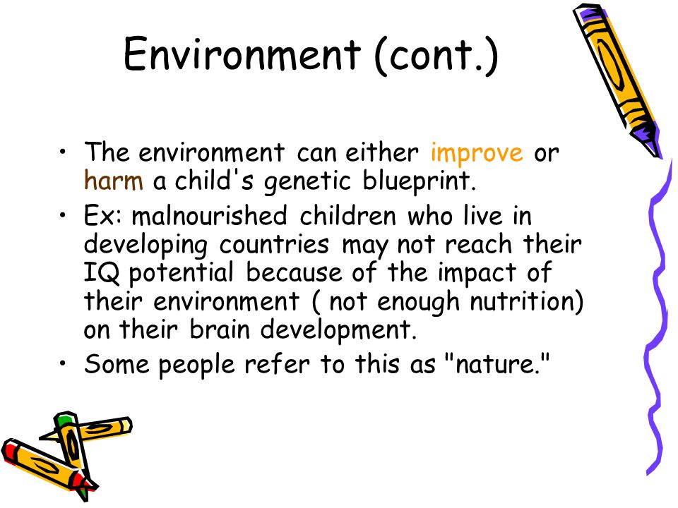 role of physical environment in child development