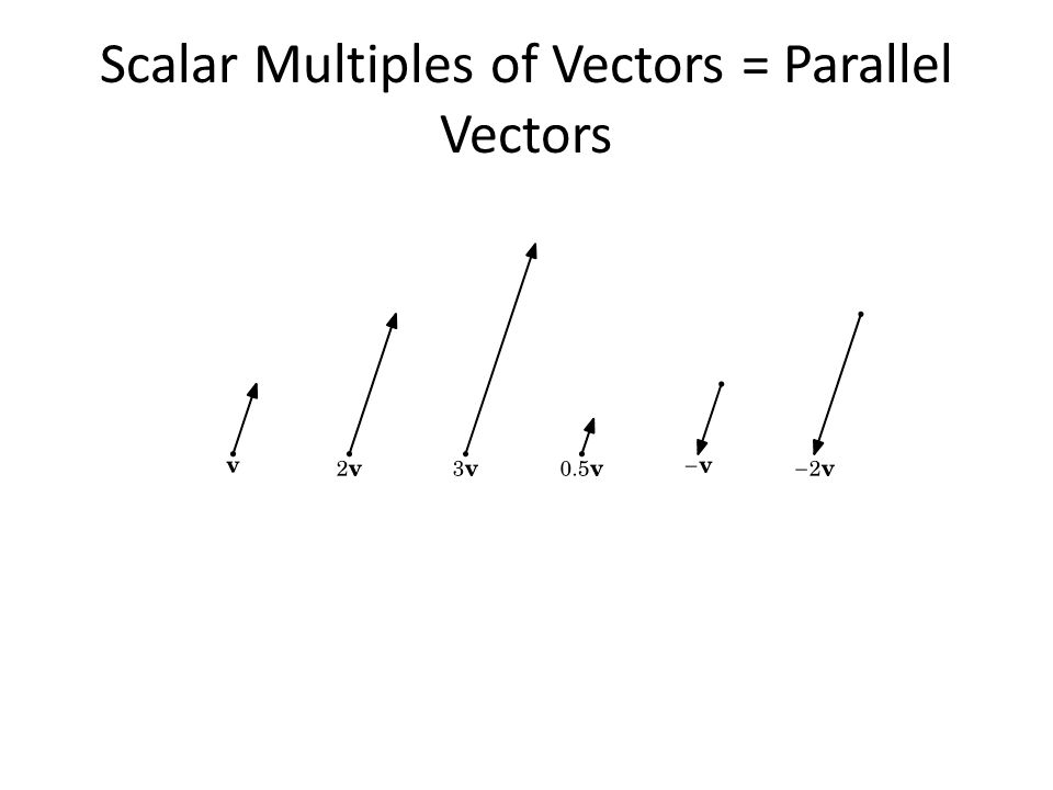 Scalar Multiples of Vectors = Parallel Vectors