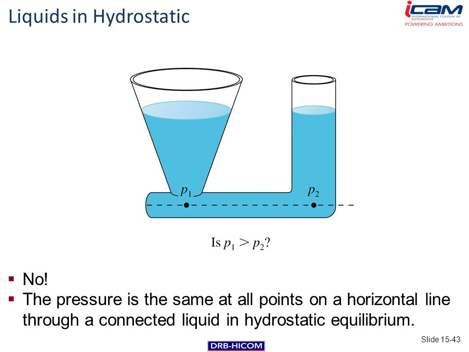 Liquids in Hydrostatic Equilibrium  No.