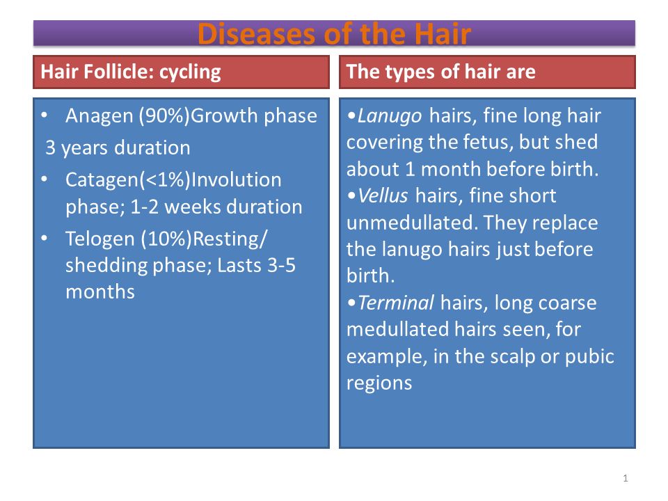 Diseases Of The Hair Hair Follicle Cycling Anagen 90 Growth