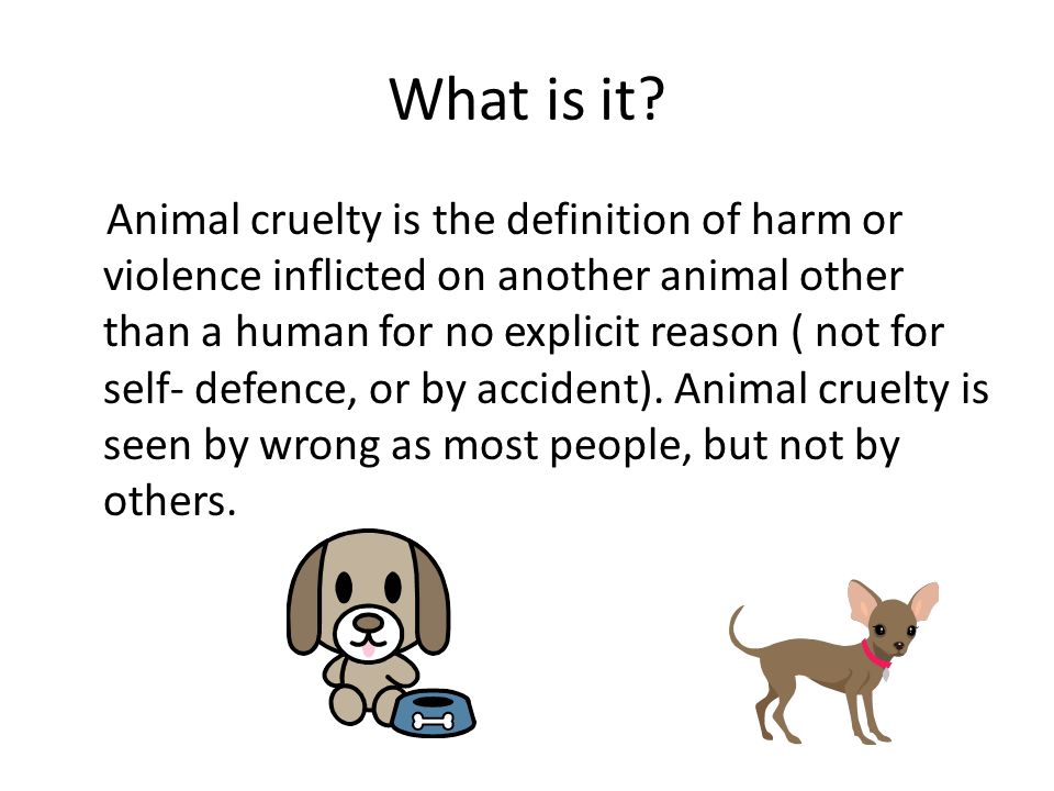 A world wide issue By Edward Prendeville. What is it? Animal cruelty is the  definition of harm or violence inflicted on another animal other than a  human. - ppt download