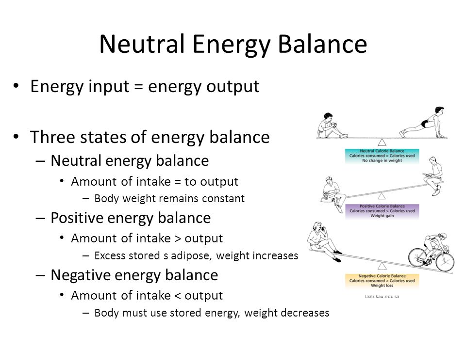 Ch 17 Energy Balance And Temperature Regulation Ppt Download,Historic Houses For Sale In Nc