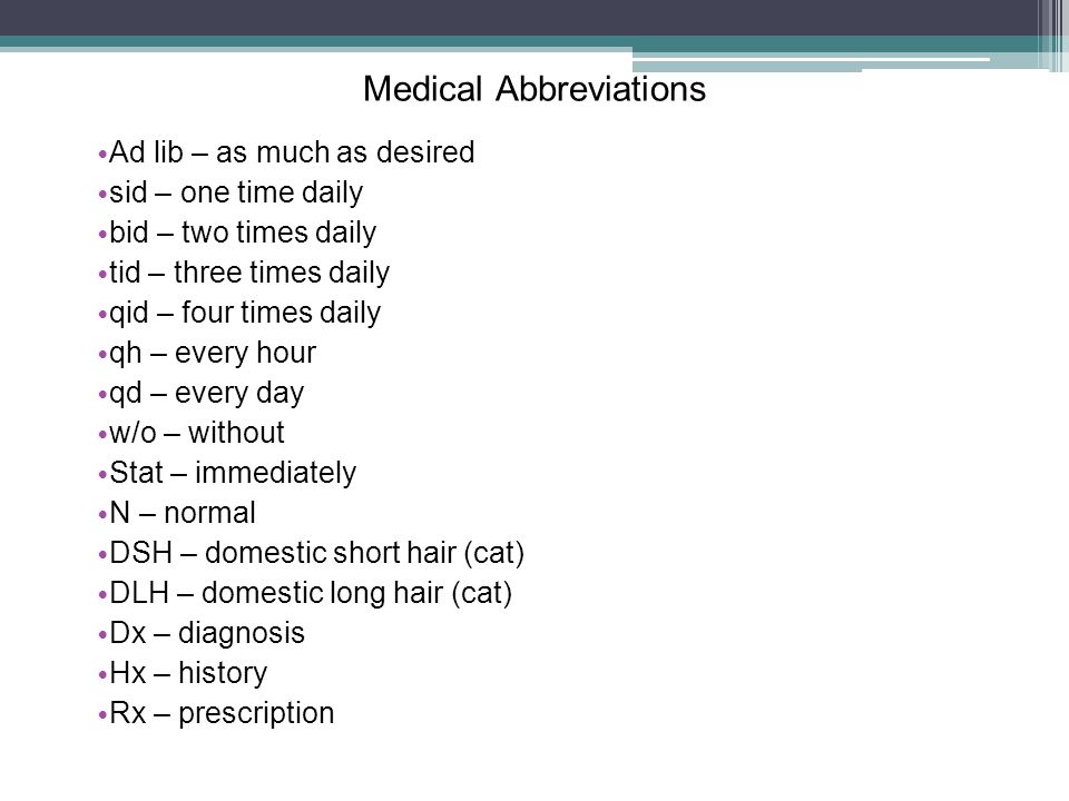 Introduction to Terminology Objective Discuss medical terminology used by  those working in the veterinary phase of the small animal care industry. -  ppt download