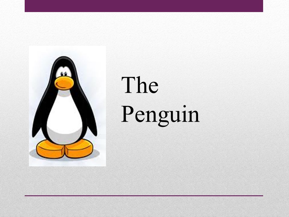 English 1 Intermediate – Class 23. Today’s Agenda 1.Notices & Attendance 2.Idiom 3.Homework Review 4.Presentation Assignment... 