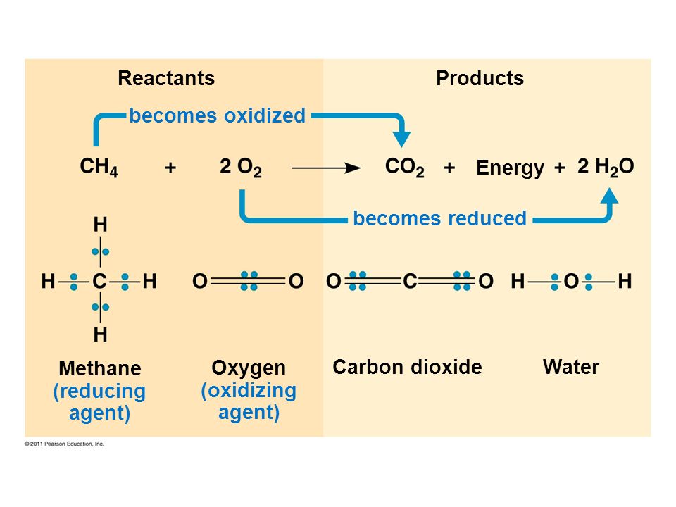 Reactants Products Energy Water Carbon dioxide Methane (reducing agent) Oxygen (oxidizing agent) becomes oxidized becomes reduced