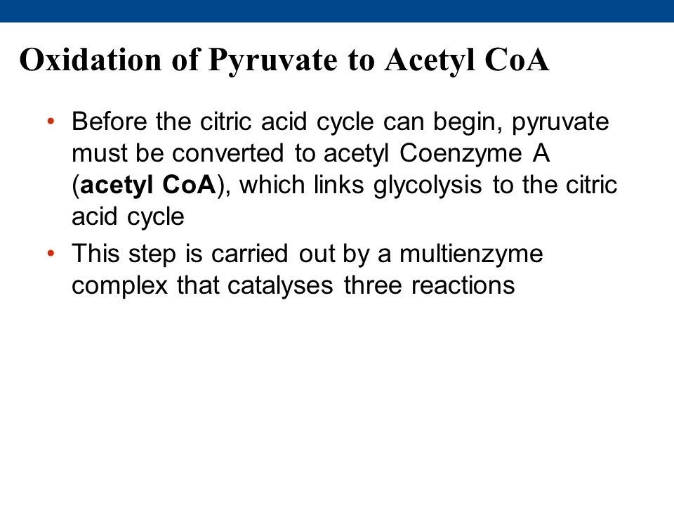 Oxidation of Pyruvate to Acetyl CoA Before the citric acid cycle can begin, pyruvate must be converted to acetyl Coenzyme A (acetyl CoA), which links glycolysis to the citric acid cycle This step is carried out by a multienzyme complex that catalyses three reactions