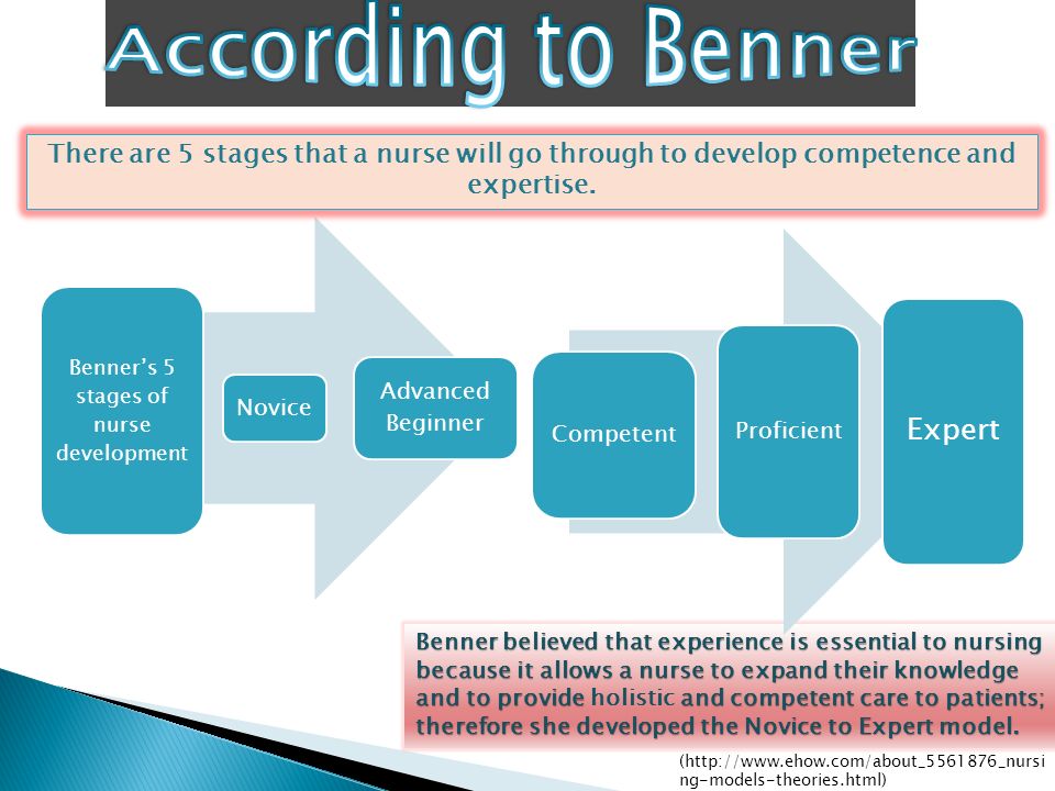 benners novice to expert