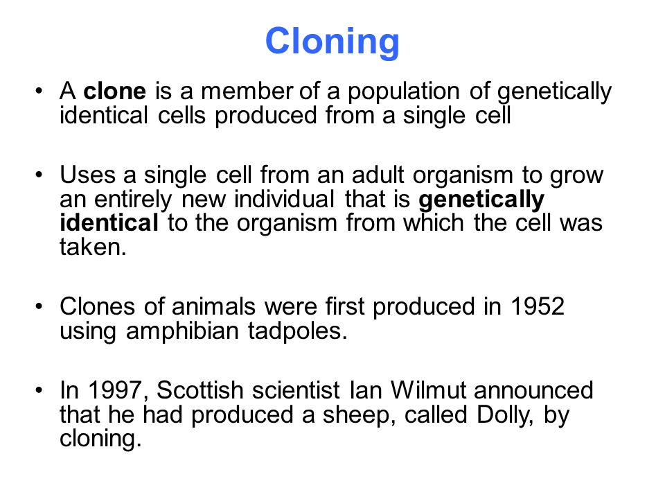 Cloning What's a clone? How do you make one? What are the ethical issues in genetic  engineering? - ppt download