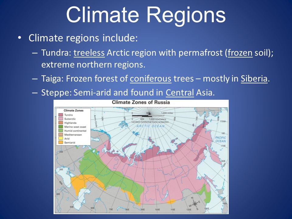 Natural zones. Климат России на английском. Russian climatic Zones. Types of climate in Russia. Climate Zones of Russia.