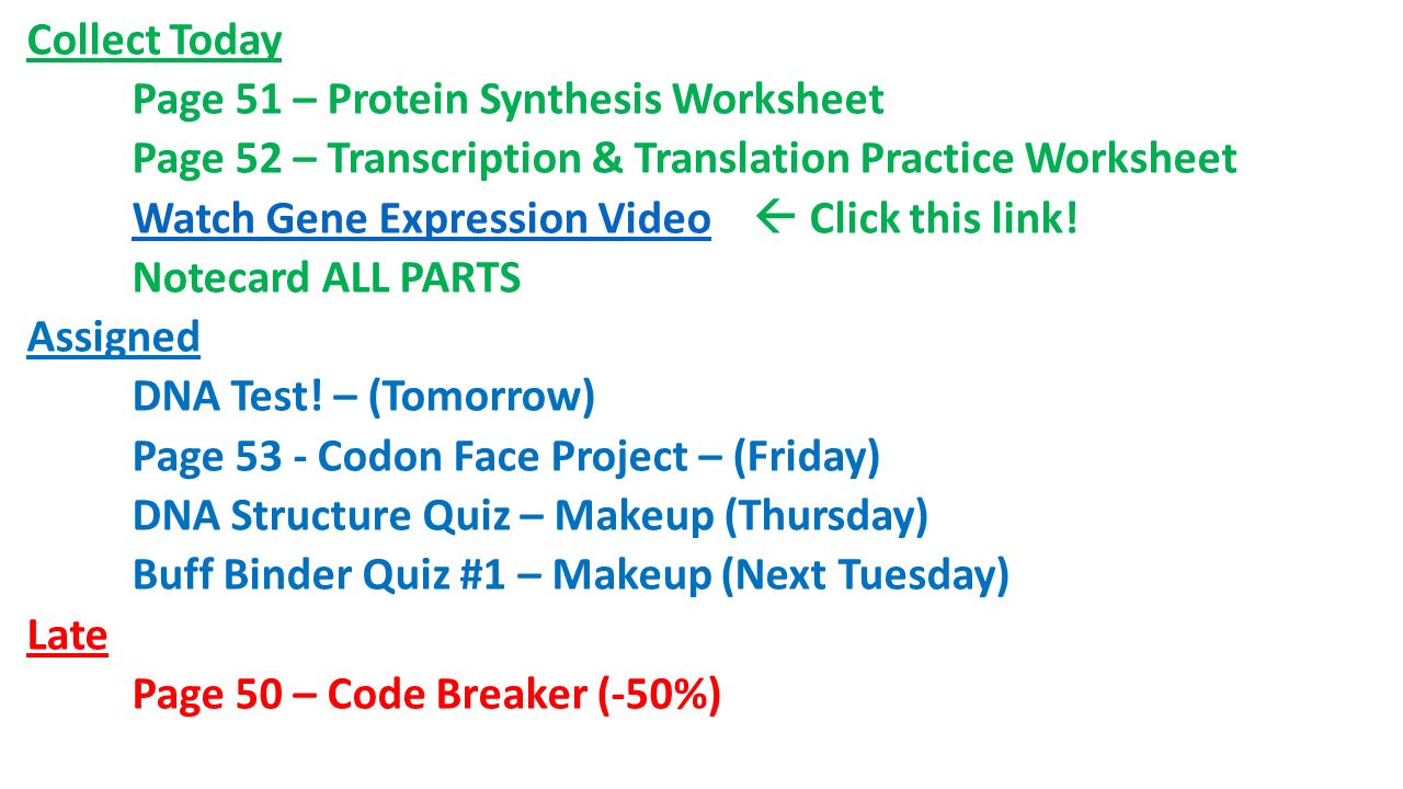 Bellwork: 244.Transcription/Translation Quiz – You have 2440 minutes 24 Within Transcription And Translation Practice Worksheet