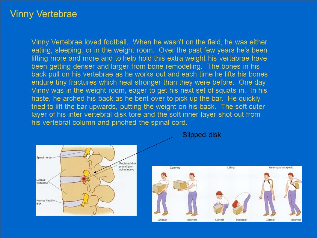 Bone Remodeling. The Femur Little Frankie Femur was born and raised to be a soccer star. From the moment he could walk he had a... 