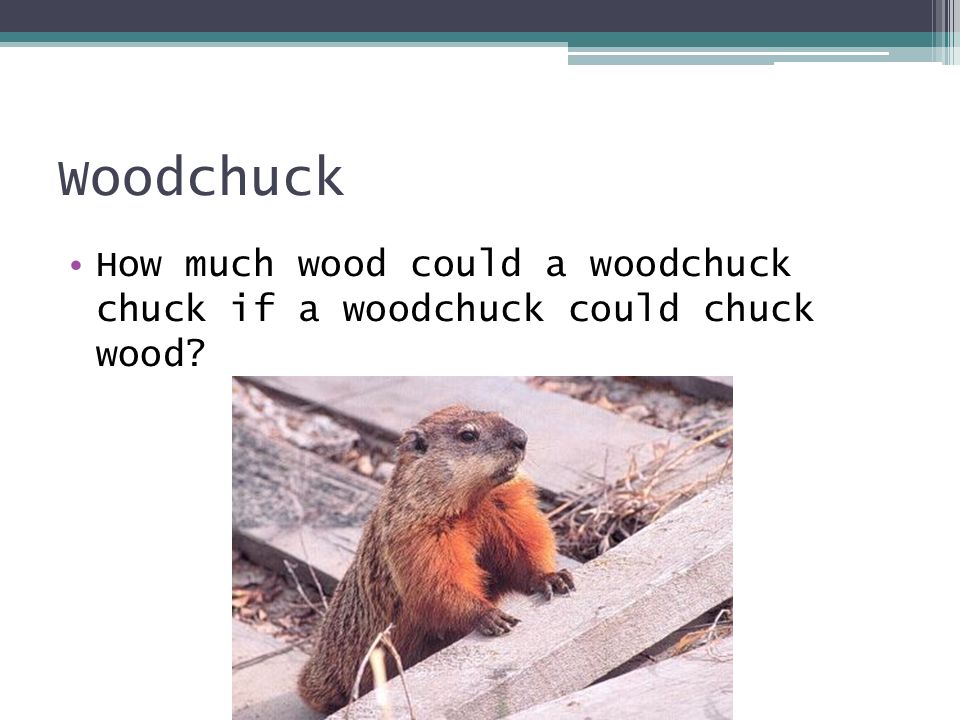 how much wood could a woodchuck chuck poem