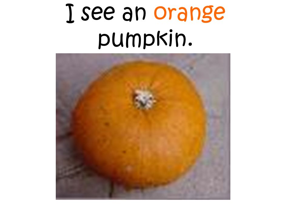 I see an orange pumpkin.