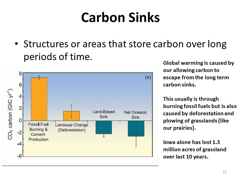The Carbon Cycle And A Brief Overview Of Climate Science