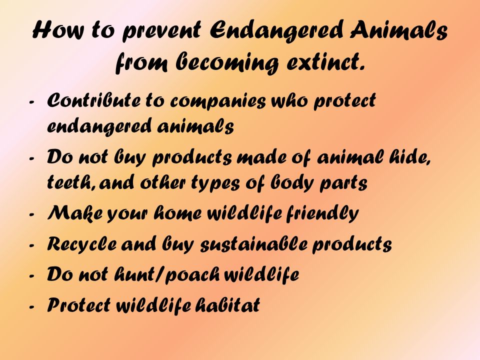 Endangered Species An Endangered (EN) species is a species which has been  categorized by the International Union for Conservation of Nature (IUCN)  Red. - ppt download