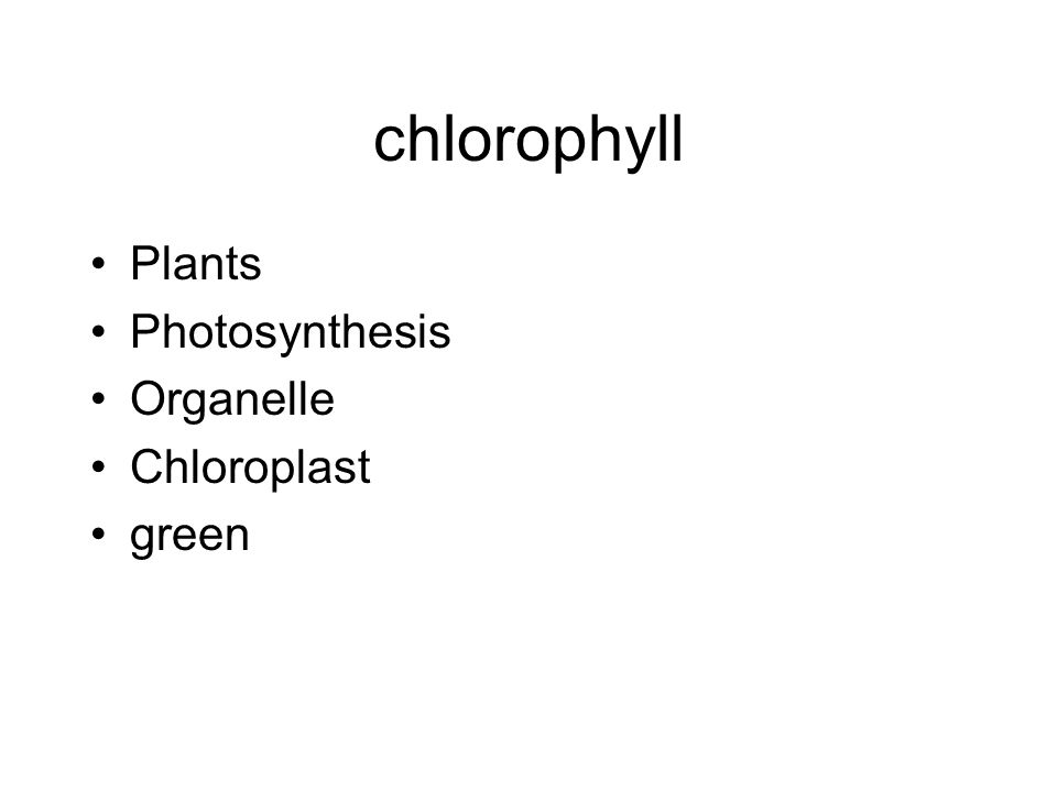chlorophyll Plants Photosynthesis Organelle Chloroplast green
